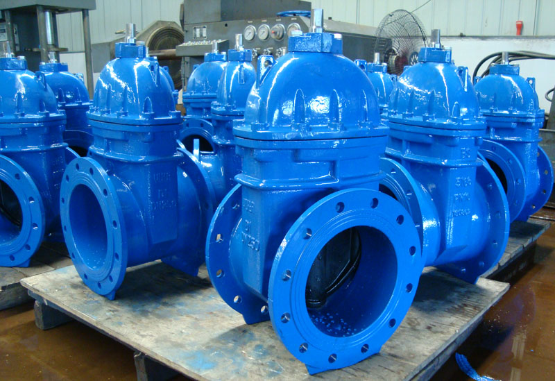 BS5163 Resilient Seated Gate Valve PN10