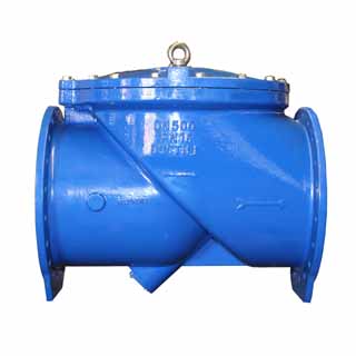 45D Flexible Swing Check Valve_1