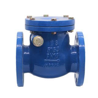 BS5153 Swing Check Valve_1