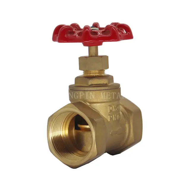 Brass Globe Valve
