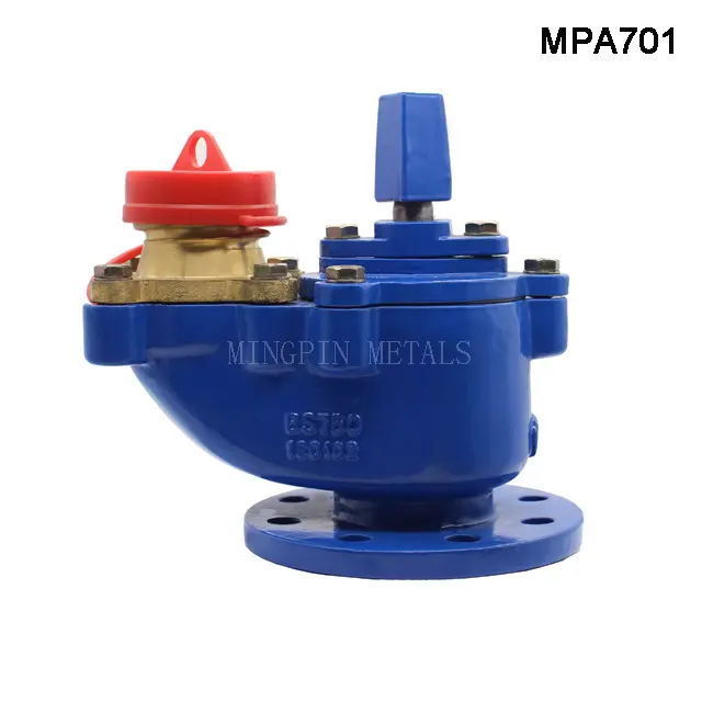BS750 Underground Hydrant