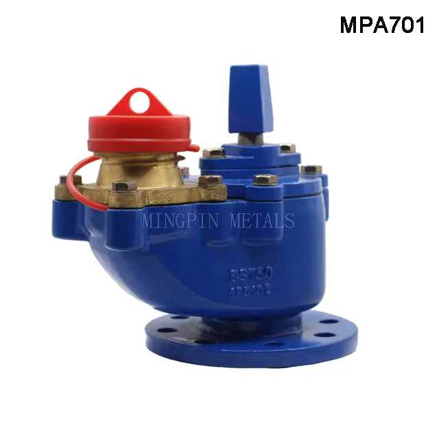 BS750 Underground Hydrant