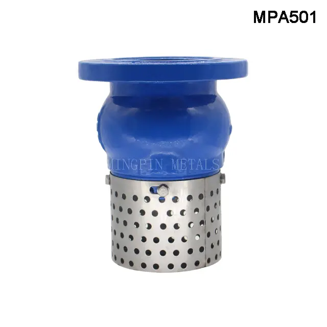 Foot Valve