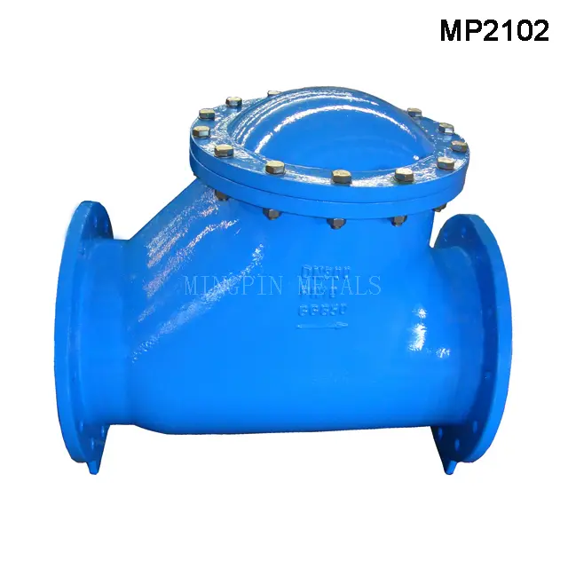 BS5153 Ball Check Valve