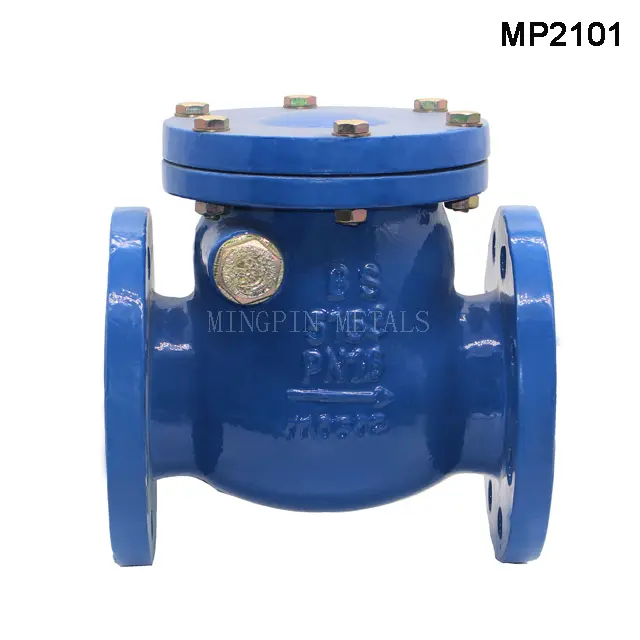 BS5153 / EN12334 Swing Check Valve