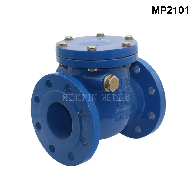 BS5153 / EN12334 Swing Check Valve
