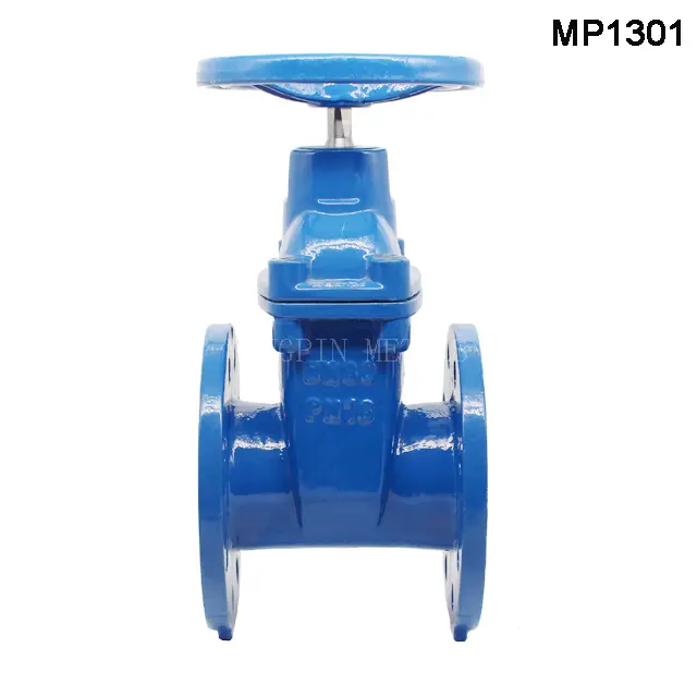 DIN3352-F4 / EN1171 Resilient Seated Gate Valve