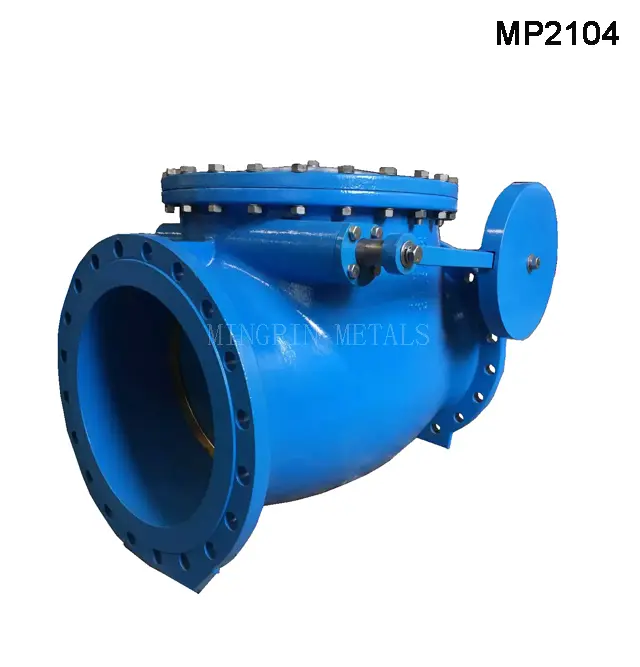 BS5153 / EN12334 Swing Check Valve with Lever & Weight